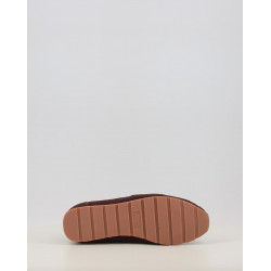 ASTER SERRAJE 1159100