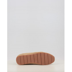 ASTER SERRAJE 1159100