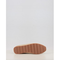 ASTER SERRAJE 1159102