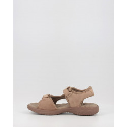 NILO BASICS B4
