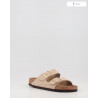 ARIZONA SFB LENB