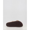 ARIZONA SFB LENB