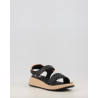 PENNOCK 78686 P