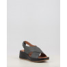 CAROLA 1163400