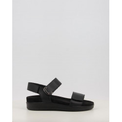 DAISY 108700