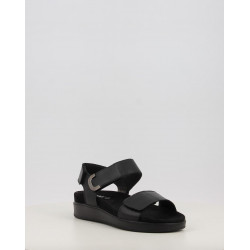 DAISY 108700