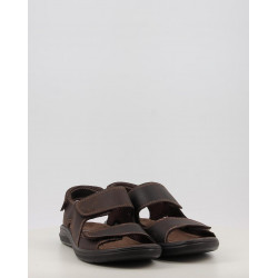 LARK 103631
